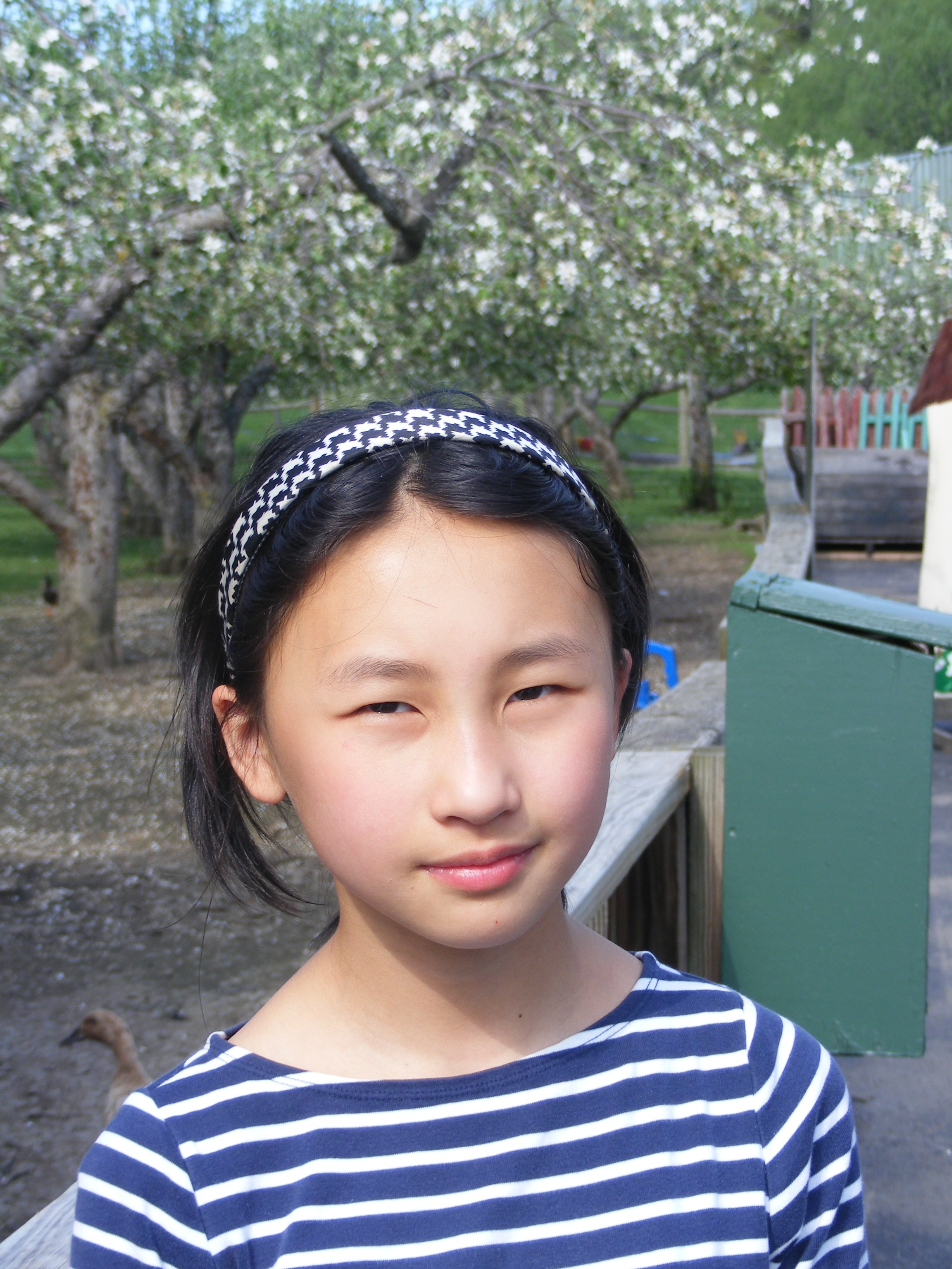 Hua Cui